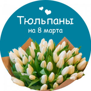 Купить тюльпаны в Димитровграде